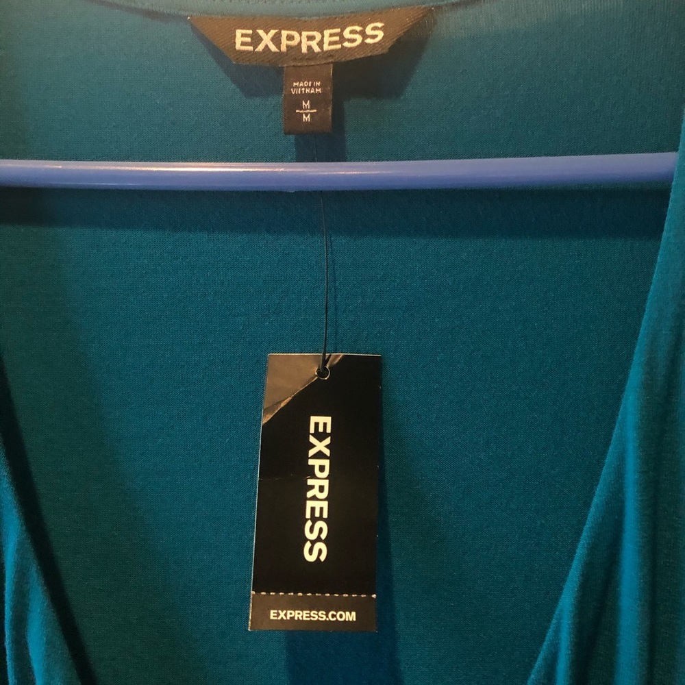 Express Dress - Picture 3 of 4